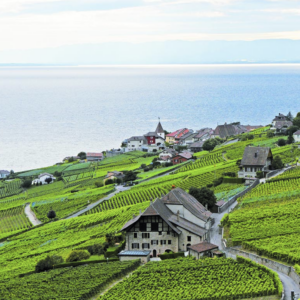Le vigneron fait le vin, mais le caveau lui donne son âme