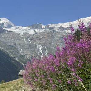 Libérez le potentiel des enfants, et vous transformerez le monde avec lui